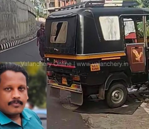 Kuttippuram-auto-accident