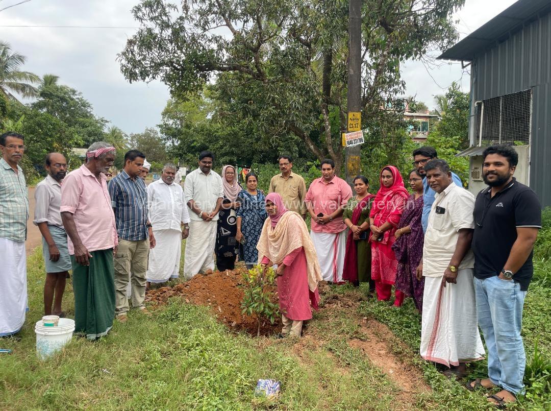 Woman-for-tree-valanchery-sep-2026