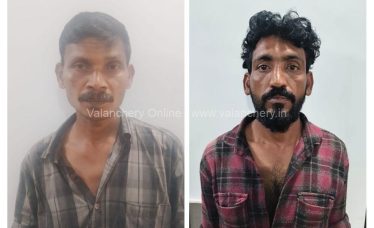 Cow-theft-valanchery