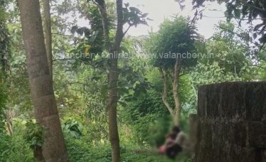 Valanchery-thamarakulam-love-corner
